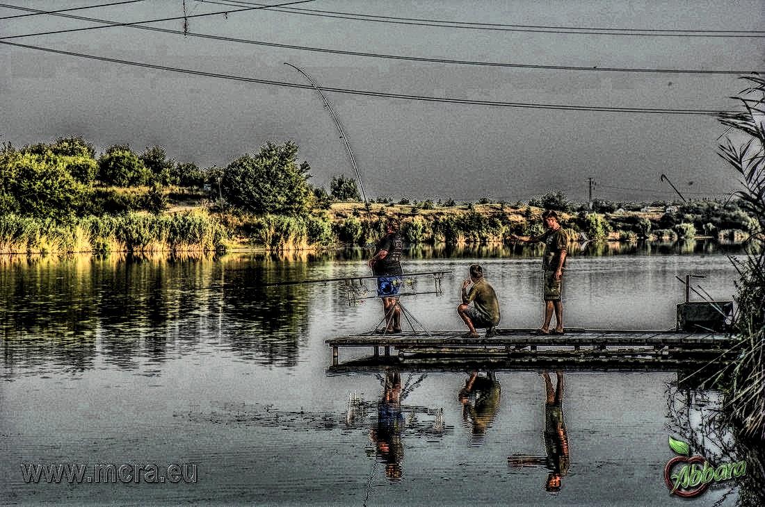 MeetCarp Romanian Awards 2013 (3) - 1017310hdrmode2.jpg